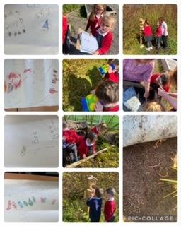 Our mini-beast hunt